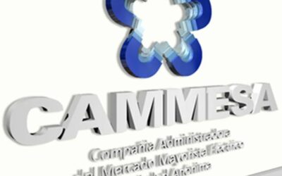 Lapeña: «CAMMESA debería ser auditada por asumir funciones que no le corresponden»